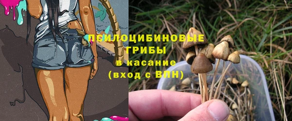 MESCALINE Белокуриха